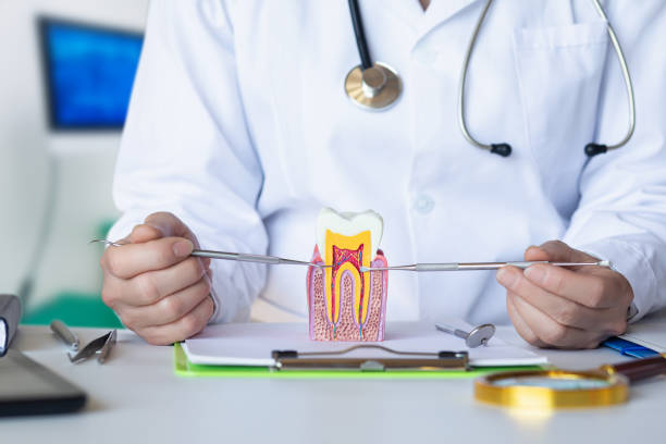 Best Emergency Cosmetic Dentistry in De Soto, MO